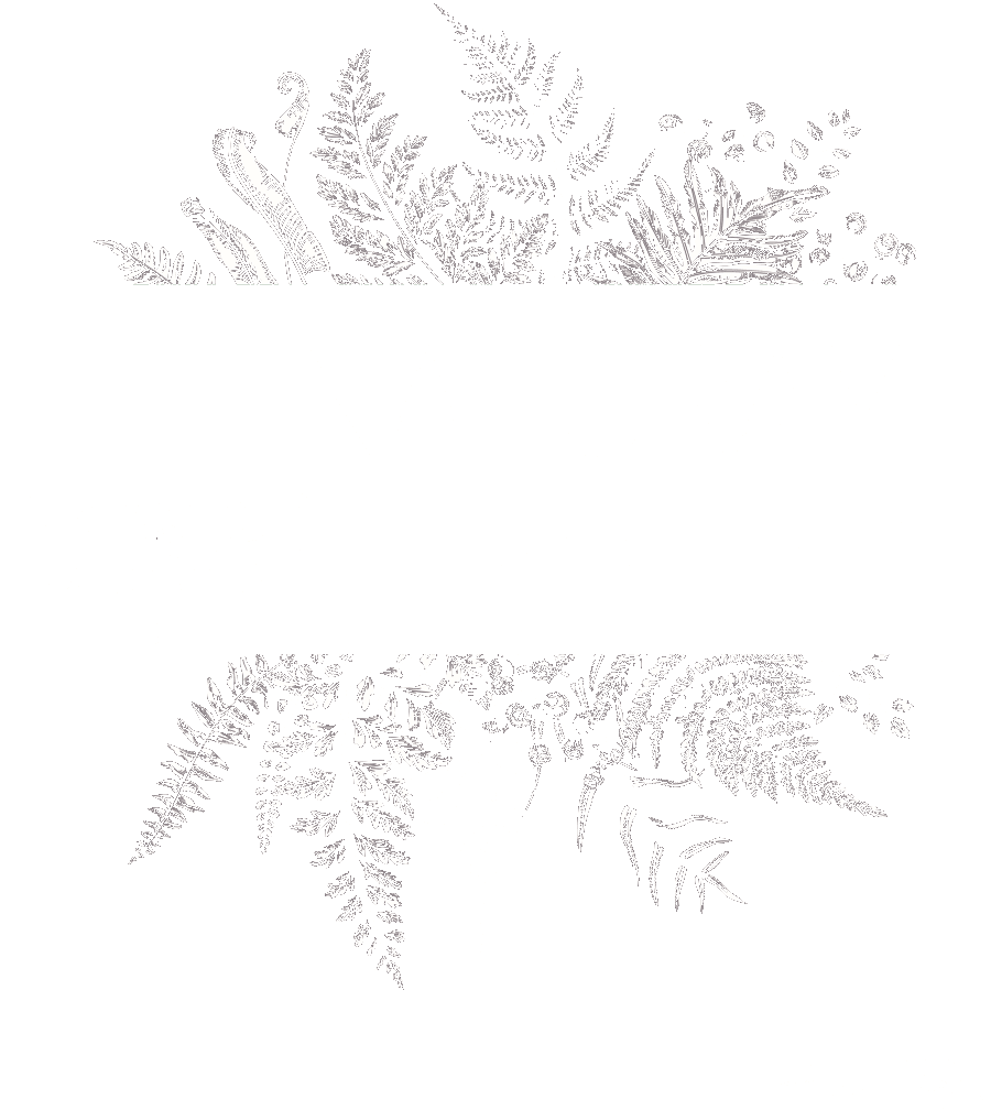 Logo E-Naturam